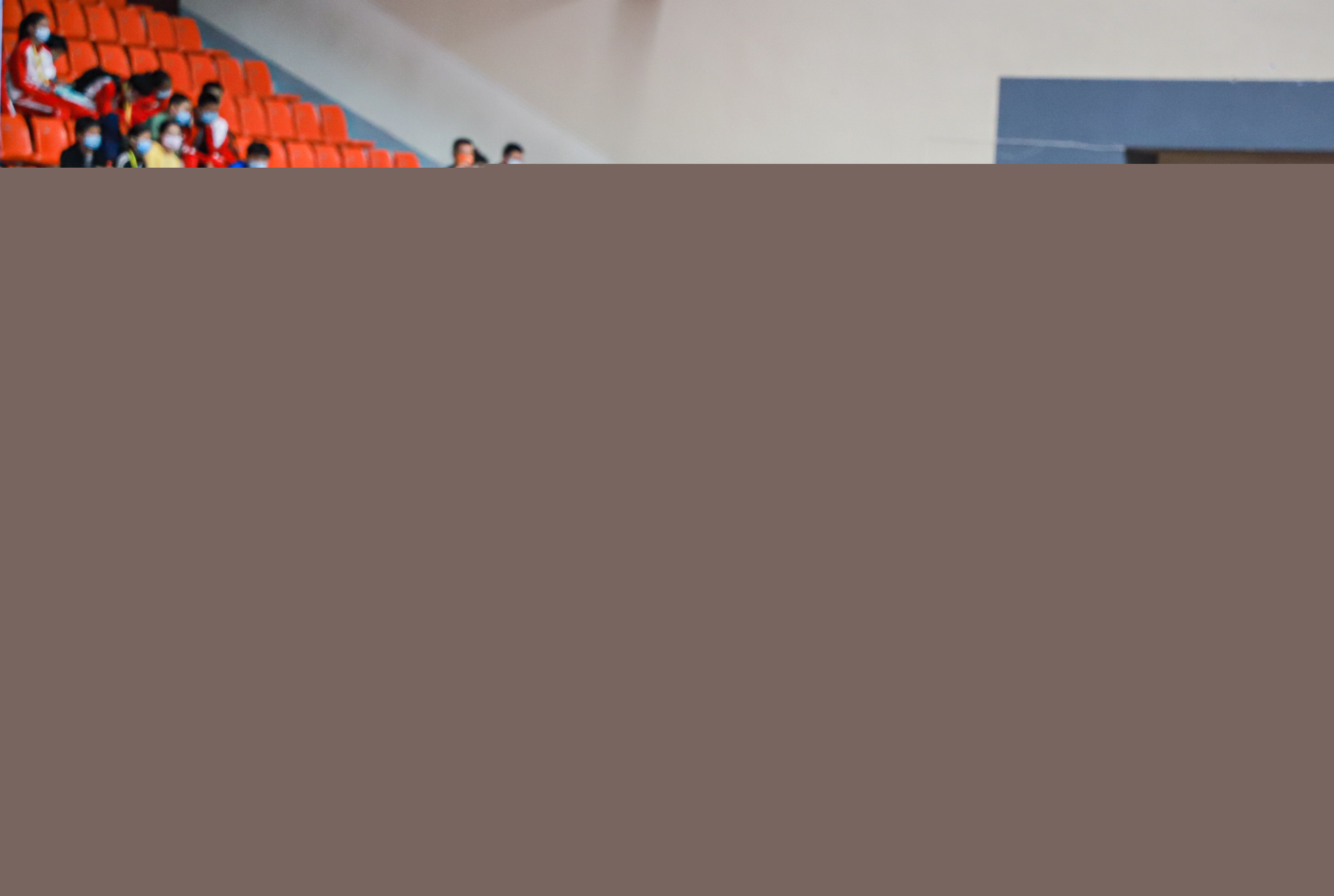 球迷的情感 球迷的情感